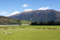 South 2012