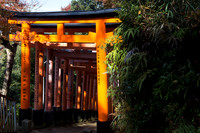 Kyoto
