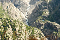 Le Hängebrücke et le Grünsee