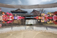 Miyajima, Naoshima ... Kyoto ... Alps ... Tokyo