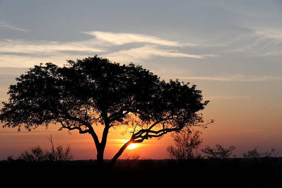 Sabi sand
