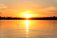 Zambezi River
