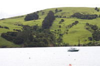 Akaroa