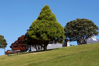 Wellington